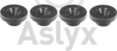 Aslyx AS-507012 - Rezin tampon, hava filtri motoroil.az