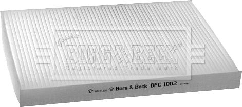 Borg & Beck BFC1002 - Filtr, daxili hava motoroil.az