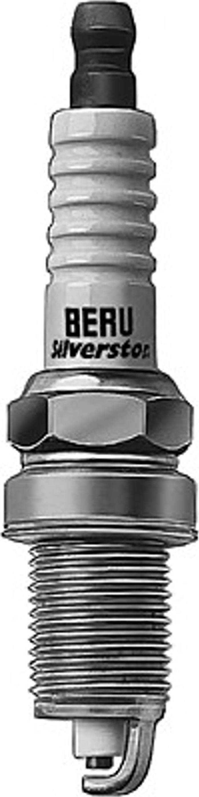 BorgWarner (BERU) 0001340806 - Buji motoroil.az