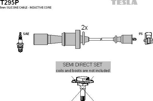 TESLA T295P - Alovlanma kabeli dəsti motoroil.az