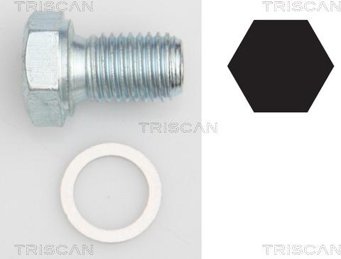 Triscan 9500 1101 - Möhürləyici tıxac, yağ çəni motoroil.az