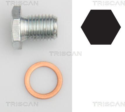 Triscan 9500 1103 - Möhürləyici tıxac, yağ çəni motoroil.az