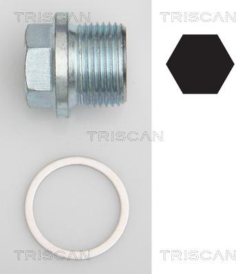Triscan 9500 1102 - Möhürləyici tıxac, yağ çəni motoroil.az