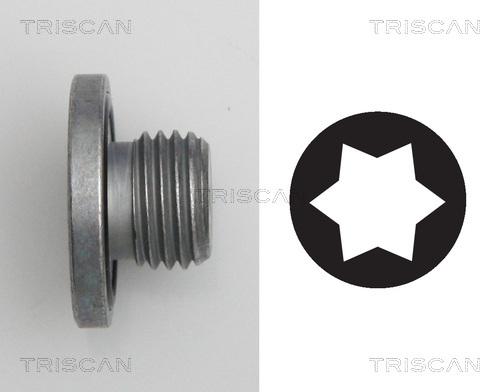 Triscan 9500 2401 - Möhürləyici tıxac, yağ çəni motoroil.az